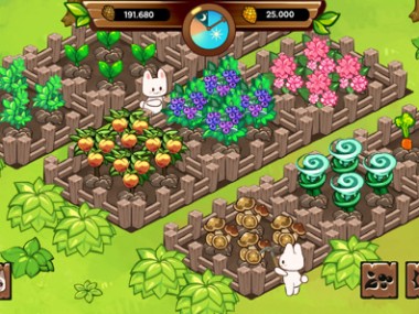 Animal Camp - Healing Resort