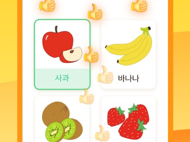 LingoDeer - Aprender Idiomas