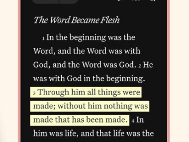 YouVersion Bible App + Audio