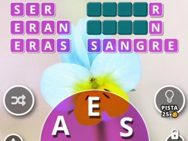 Ramillete de Palabras