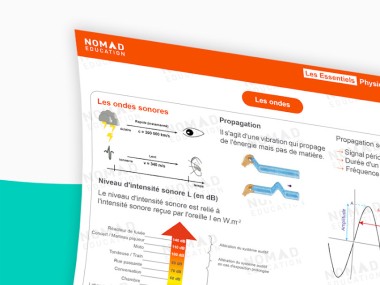 Nomad Education (Brevet Bac Sup Primaire)