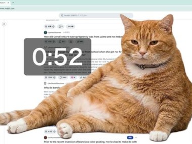 Cat Gatekeeper