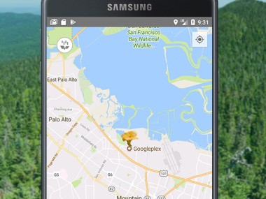 Identificador de Setas