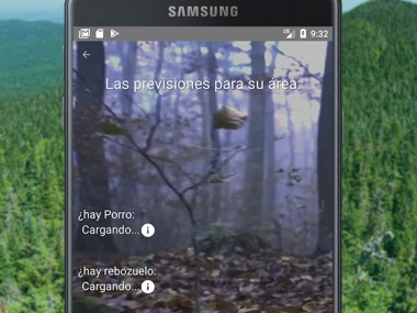 Identificador de Setas