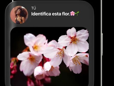 Chatbot IA Español - Nova