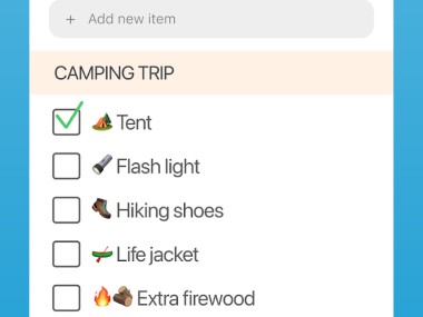 Cozi Family Organizer