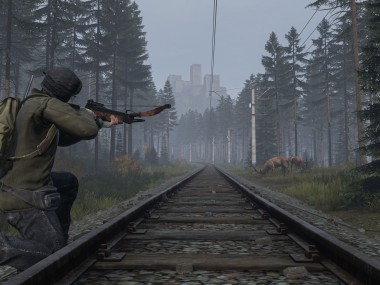 DayZ