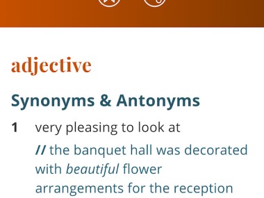 Dictionary - Merriam-Webster