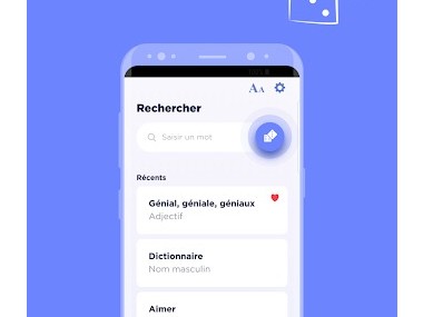 Dictionnaire Larousse Français