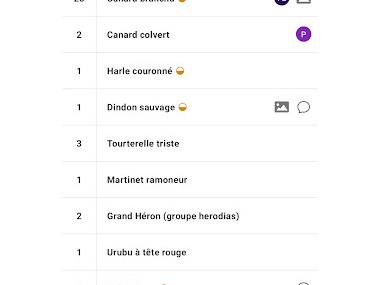eBird by Cornell Lab