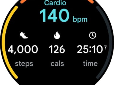 Google Health (Fitbit)