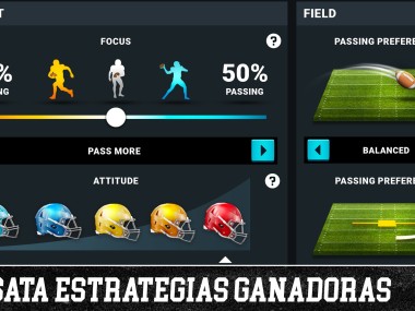 Football Head Coach NFL PA