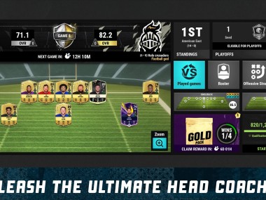 Football Head Coach NFL PA