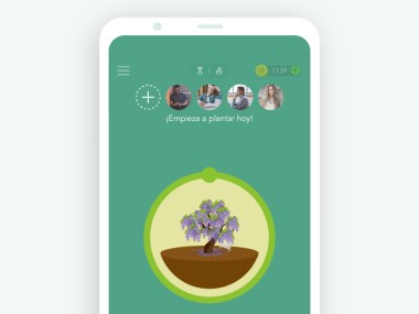 Forest：Mantente Enfocado