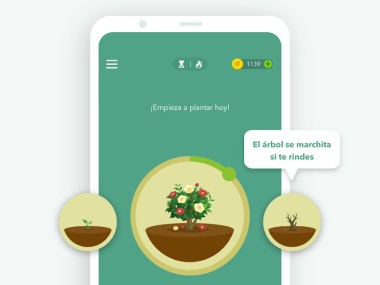 Forest：Mantente Enfocado