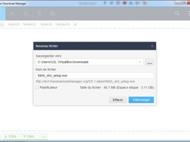 Free Download Manager (FDM)