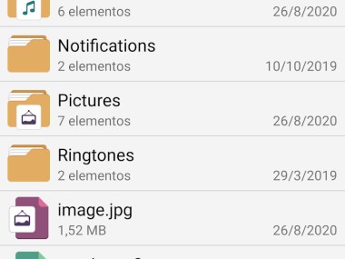 Gestor de archivos - File Manager +