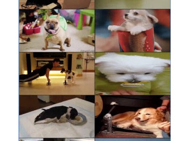 Tenor - GIF Keyboard