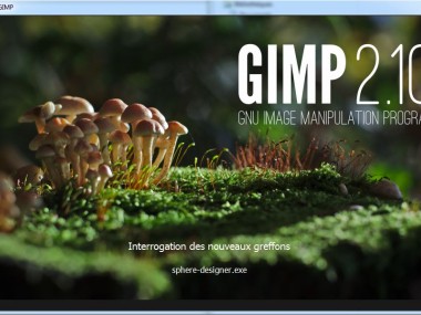Gimp