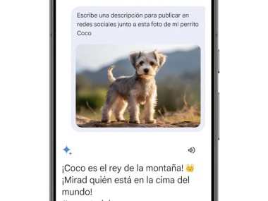 Google Gemini