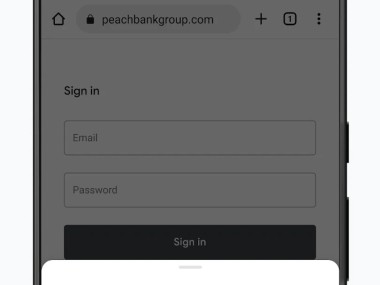 Google Chrome Google Chrome