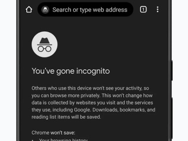 Google Chrome Google Chrome