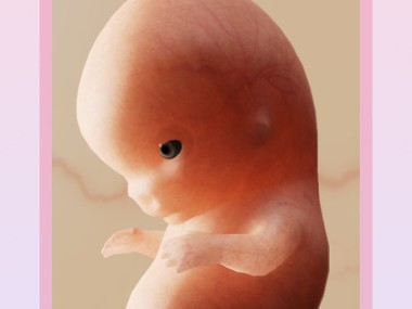 Pregnancy + | Tracker App