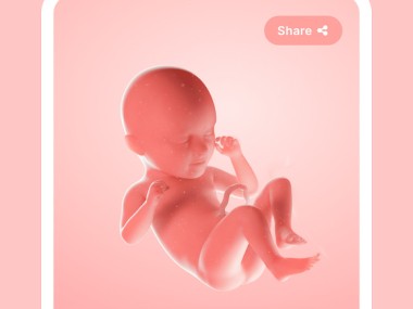 Pregnancy tracker week by week