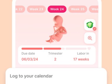 Pregnancy tracker week by week