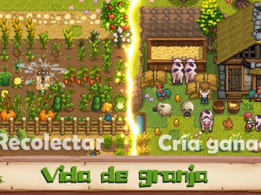 Harvest Town
