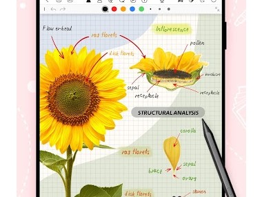 Kilonotes:Notes et lecture PDF