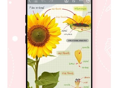 Kilonotes:Notes et lecture PDF