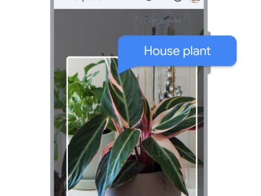 Lookout - Assisted vision