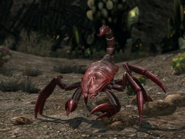 The Lord of the Rings Online