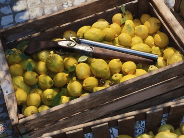 Mafia: The Old Country