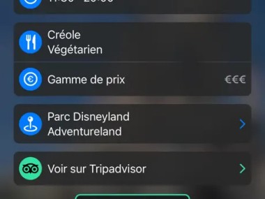 MagiPark pour Disneyland Paris