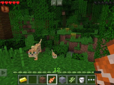Minecraft Minecraft