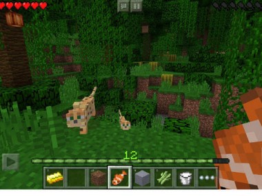 Minecraft - Pocket Edition Minecraft - Pocket Edition