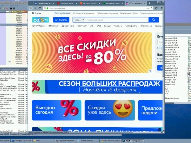 Mypal Browser