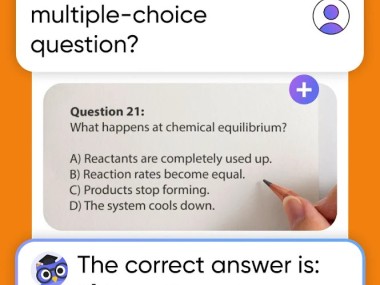 Nerd AI - Tutor & Math Helper