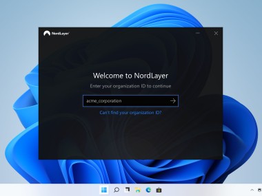 NordLayer: Secure Your Network