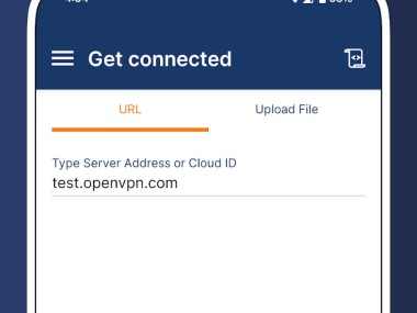 OpenVPN