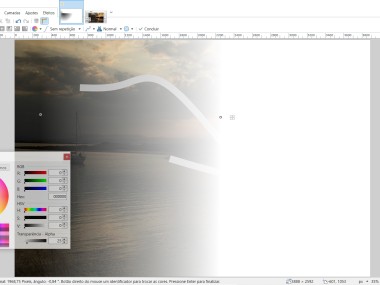Paint.NET Paint.NET