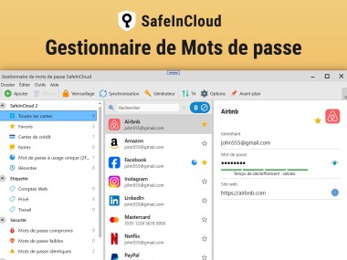 Password Manager SafeInCloud