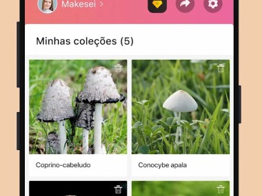 Picture Mushroom - Cogumelo ID