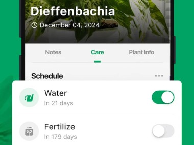 PictureThis - Plant Identifier