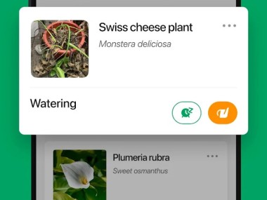 PictureThis - Plant Identifier