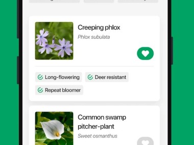PictureThis - Plant Identifier