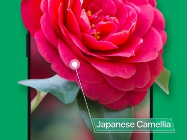 PictureThis - Plant Identifier