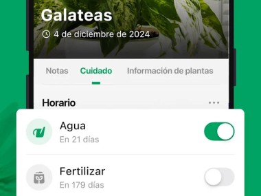 PictureThis Identificar Planta